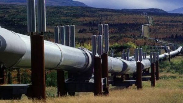 La Banque des Etats de l'Afrique Centrale tire la sonnette d'alarme. Dans son Rapport sur la politique monétaire de septembre 2026, la BEAC prévoit une production pétrolière contrastée au sein de la CEMAC. Le Tchad s'en sort, les autres reculent.